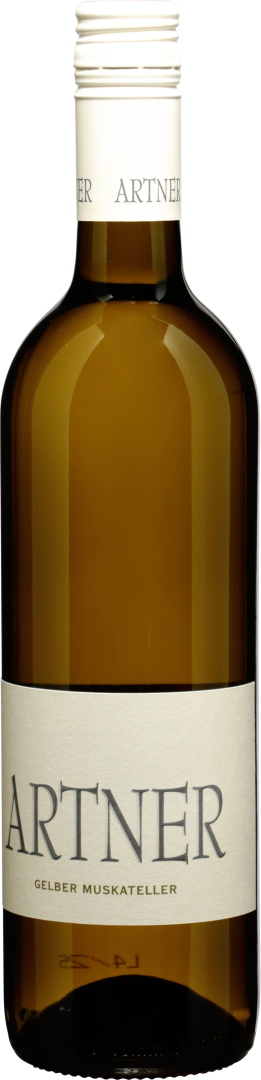 Gelber Muskateller bio 2024