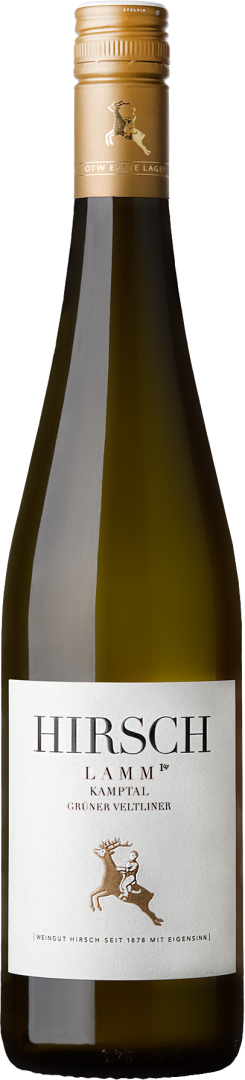 Grüner Veltliner Ried Lamm 1ÖTW Kamptal DAC bio 2016