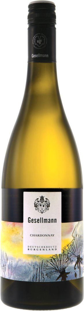 Chardonnay bio 2023