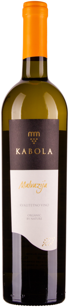 Malvazija 2024