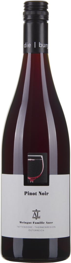 Pinot Noir Tattendorf bio 2024