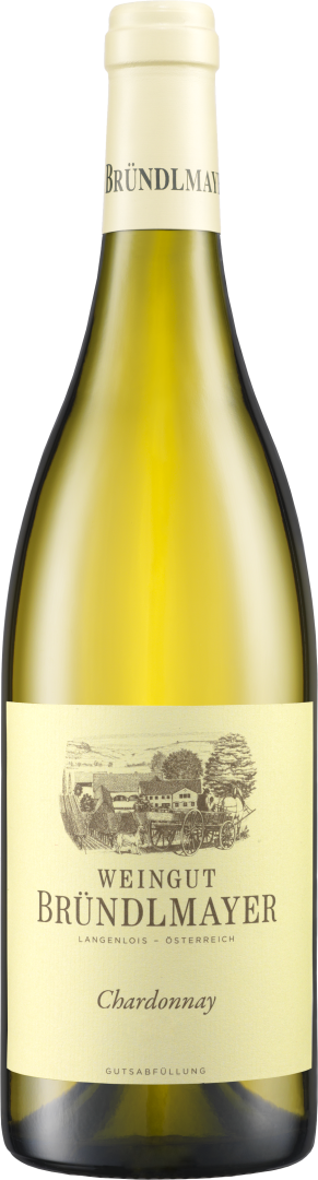 Rarität Chardonnay Reserve Langenloiser Steinberg 2008