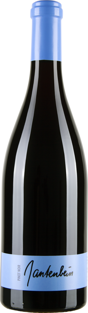 Pinot Noir 2022