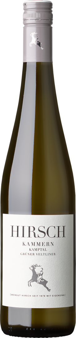 Grüner Veltliner Kammern Kamptal DAC bio 2024