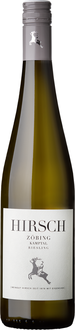 Riesling Zöbing Kamptal DAC bio 2023
