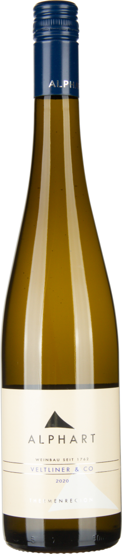 Veltliner & Co 2024