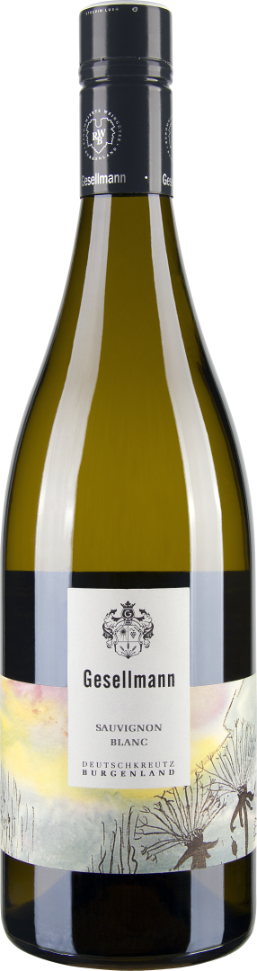 Sauvignon Blanc bio 2023