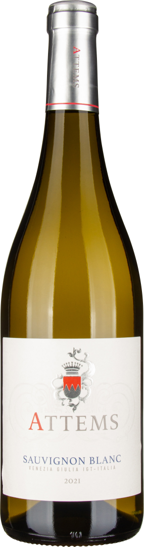 Sauvignon Blanc IGT 2023