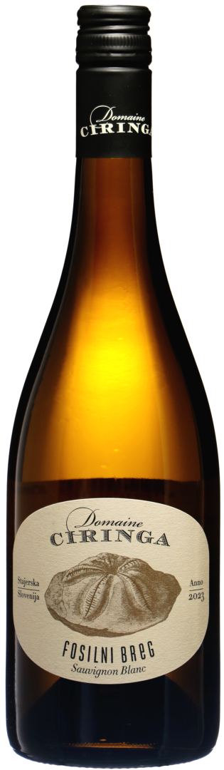 Sauvignon Blanc Fosilni Breg bio 2023