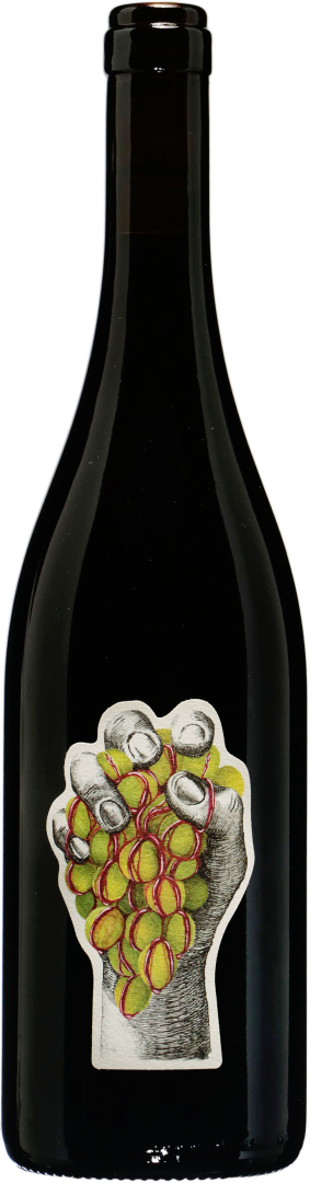 NdB (Noir de Blancs) bio 2023