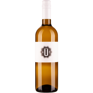 Ulrich Grüner Veltliner Ried in Bergen bio 2024