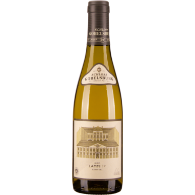 Grüner Veltliner Ried Lamm 1ÖTW Kamptal DAC 2022