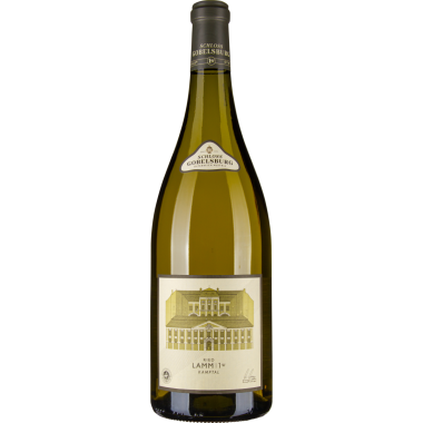 Grüner Veltliner Ried Lamm 1ÖTW Kamptal DAC 2022