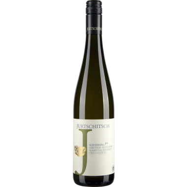 Grüner Veltliner Ried Käferberg 1ÖTW Kamptal DAC bio 2022