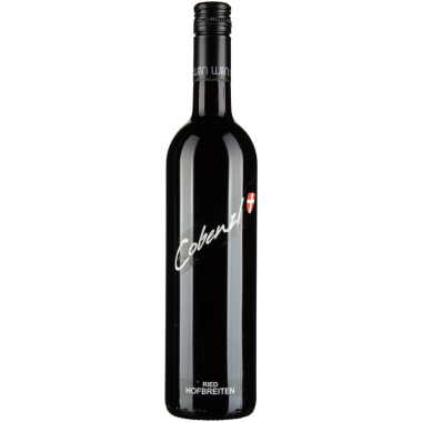 Zweigelt Ried Hofbreiten 2019