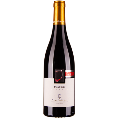 Pinot Noir Reserve Ried Holzspur bio 2021