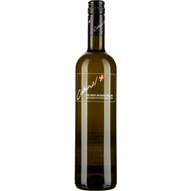 Gelber Muskateller Bisamberg Kreuzenstein 2024