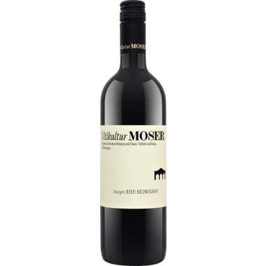 Zweigelt Hedwighof bio 2022