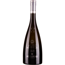 38° Grappa