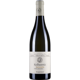 Rarität Sauvignon Blanc Steinmühle Methusalemrebe 2008