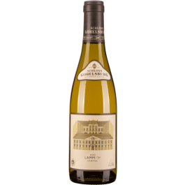 Grüner Veltliner Ried Lamm 1ÖTW Kamptal DAC 2022