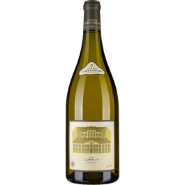 Grüner Veltliner Ried Lamm 1ÖTW Kamptal DAC 2022