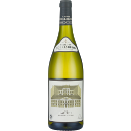 Grüner Veltliner Ried Lamm 1ÖTW Kamptal DAC 2022