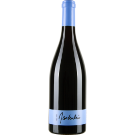 Pinot Noir 2022