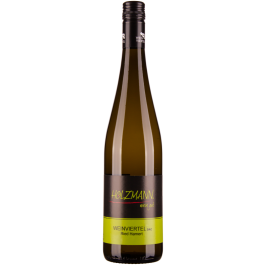 Grüner Veltliner Ried Hamert Weinviertel DAC bio 2024