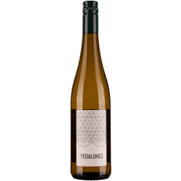 Sauvignon Blanc Nußberg Ried Obere Schos 2023
