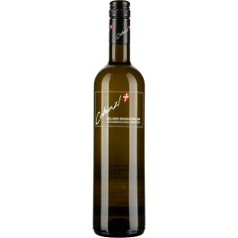 Gelber Muskateller Bisamberg Kreuzenstein 2024