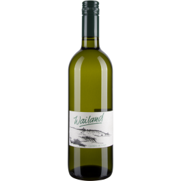 Grüner Veltliner Mitterberg 2023