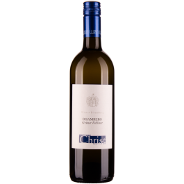 Grüner Veltliner Bisamberg bio 2023