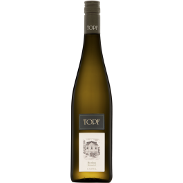 Riesling Strasser Tal Kamptal DAC bio 2023