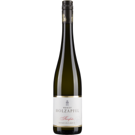 Grüner Veltliner Steinfeder 2024