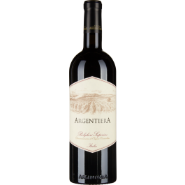 Bolgheri Superiore 2021