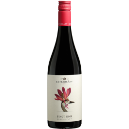 Pinot Noir Großhöflein 2021
