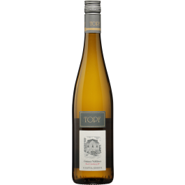 Rarität Grüner Veltliner Ried Gaisberg 1ÖTW Kamptal DAC 2016