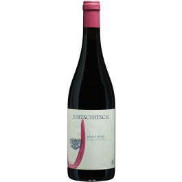 Pinot Noir Langenlois bio 2020