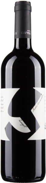 Zweigelt Rubin Carnuntum bio 2023