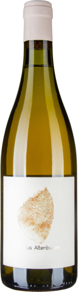 Chardonnay Jungenberg Leithaberg DAC bio 2023